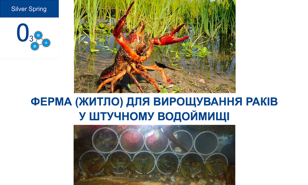 Житло (ферма) для раків в штучну водойму